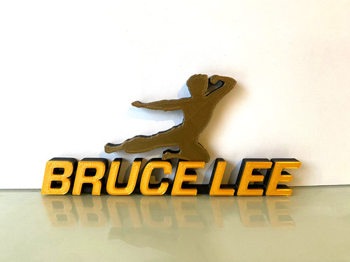 Bruce lee logo - bruce,