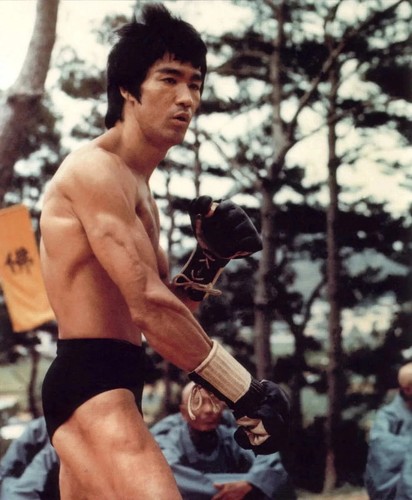 Bruce lee photo glossy - photo,