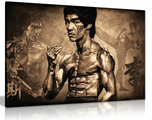 Bruce lee martial arts canvas - lee,