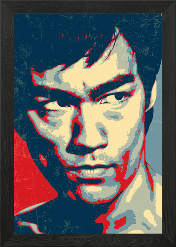 Bruce lee framed - bruce, art