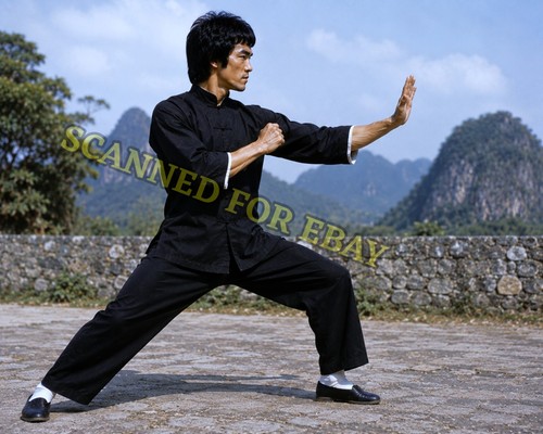 Bruce lee 8x10in glossy art - bruce,