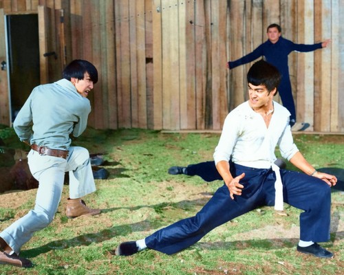 Bruce lee colour - bruce,